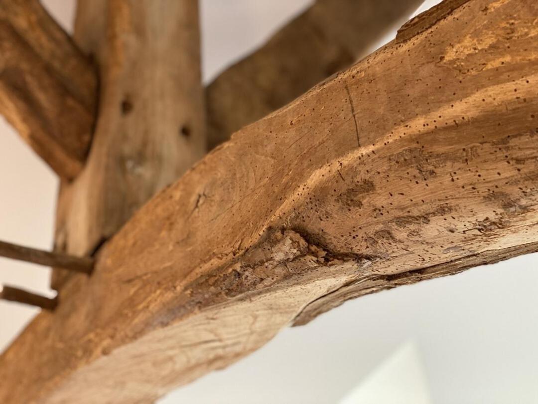 Le Domaine D'Angerville - Chambres D'Hotes Cameră foto